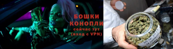 гашик Белокуриха