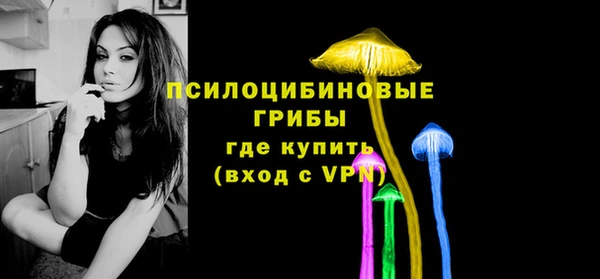 гашик Белокуриха