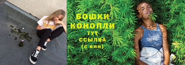 гашик Белокуриха