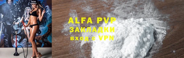 молекула духа Белоозёрский