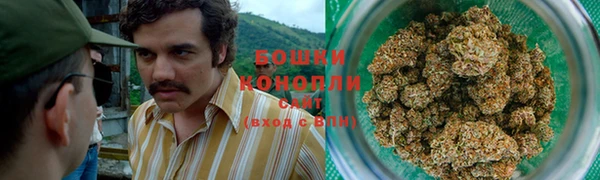 гашик Белокуриха