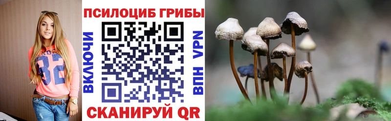 это телеграм блэк спрут Псилоцибиновые грибы ЛСД Вышний Волочёк наркота